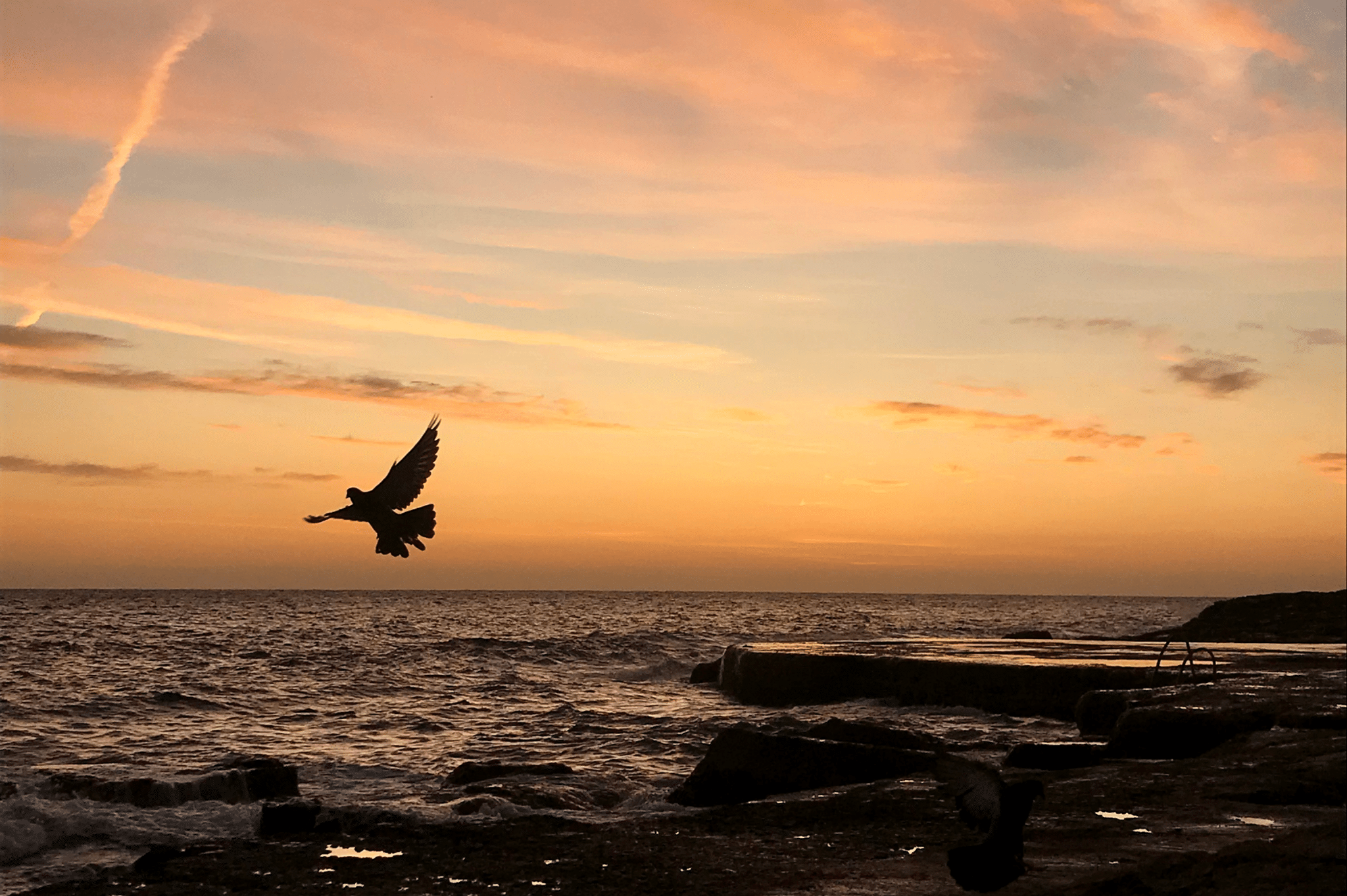 Is Adderall Dangerous?