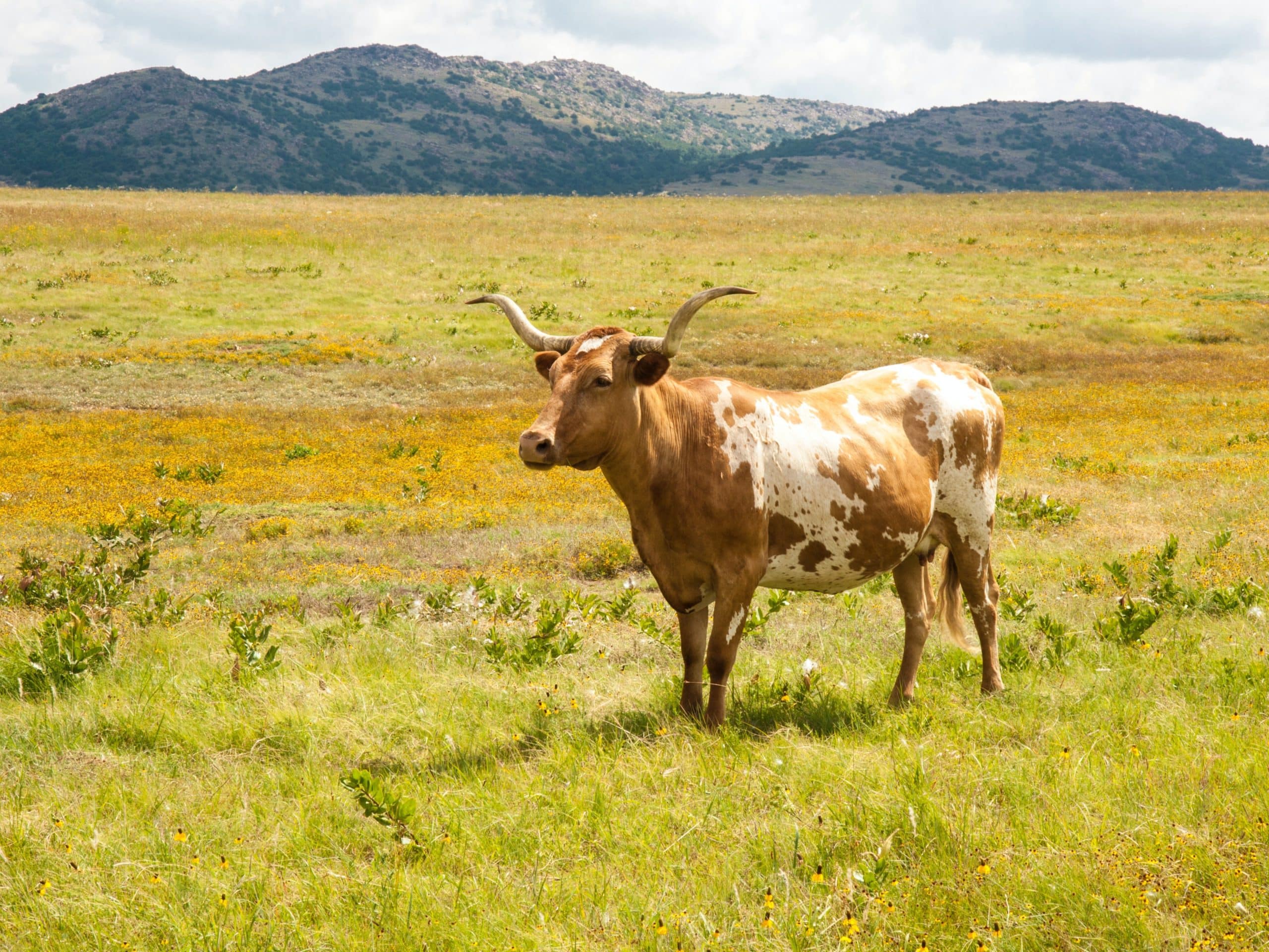 What Happens When Families Don’t Seek Help For Addiction