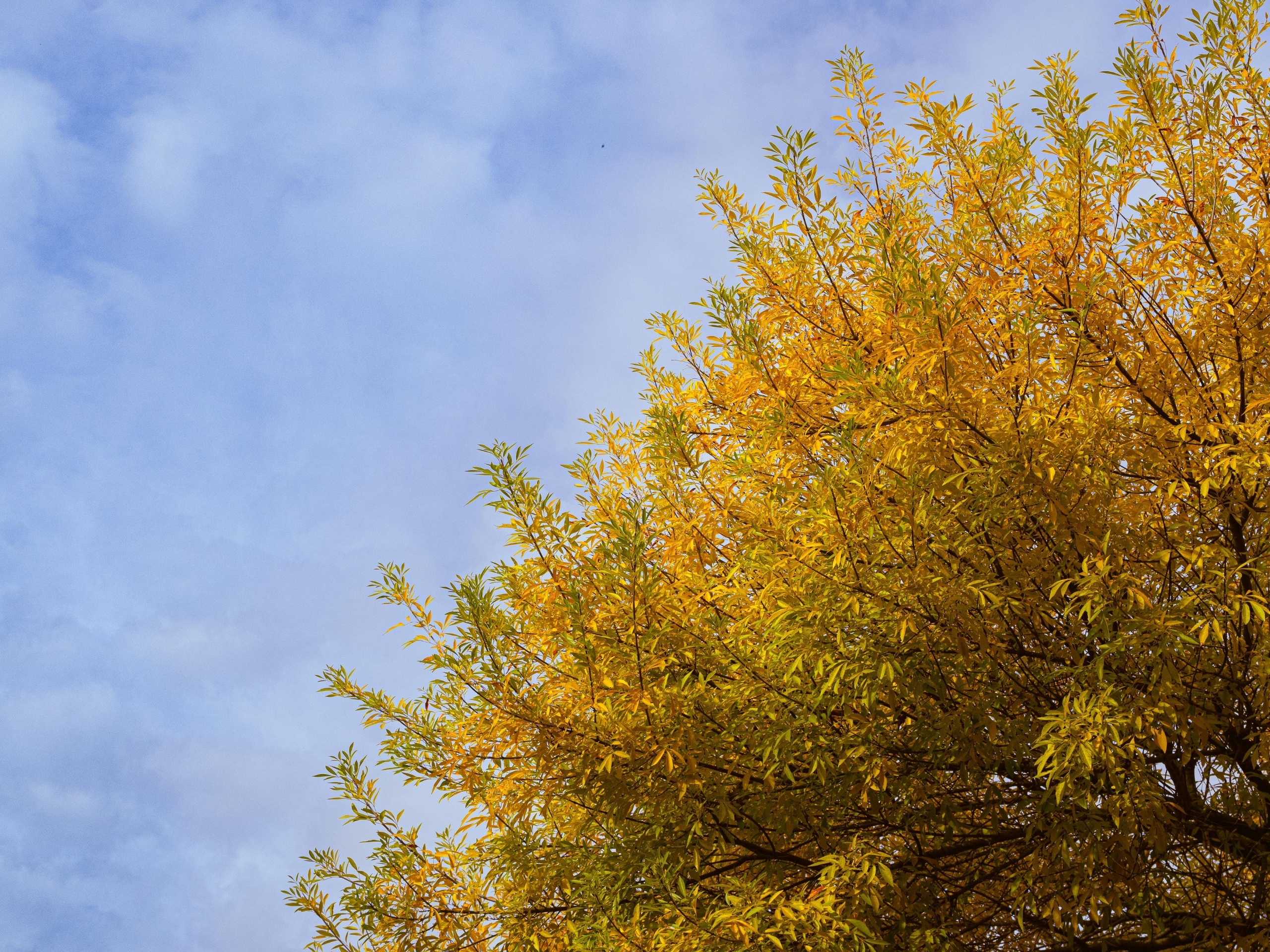 How to Support an Addict in Recovery