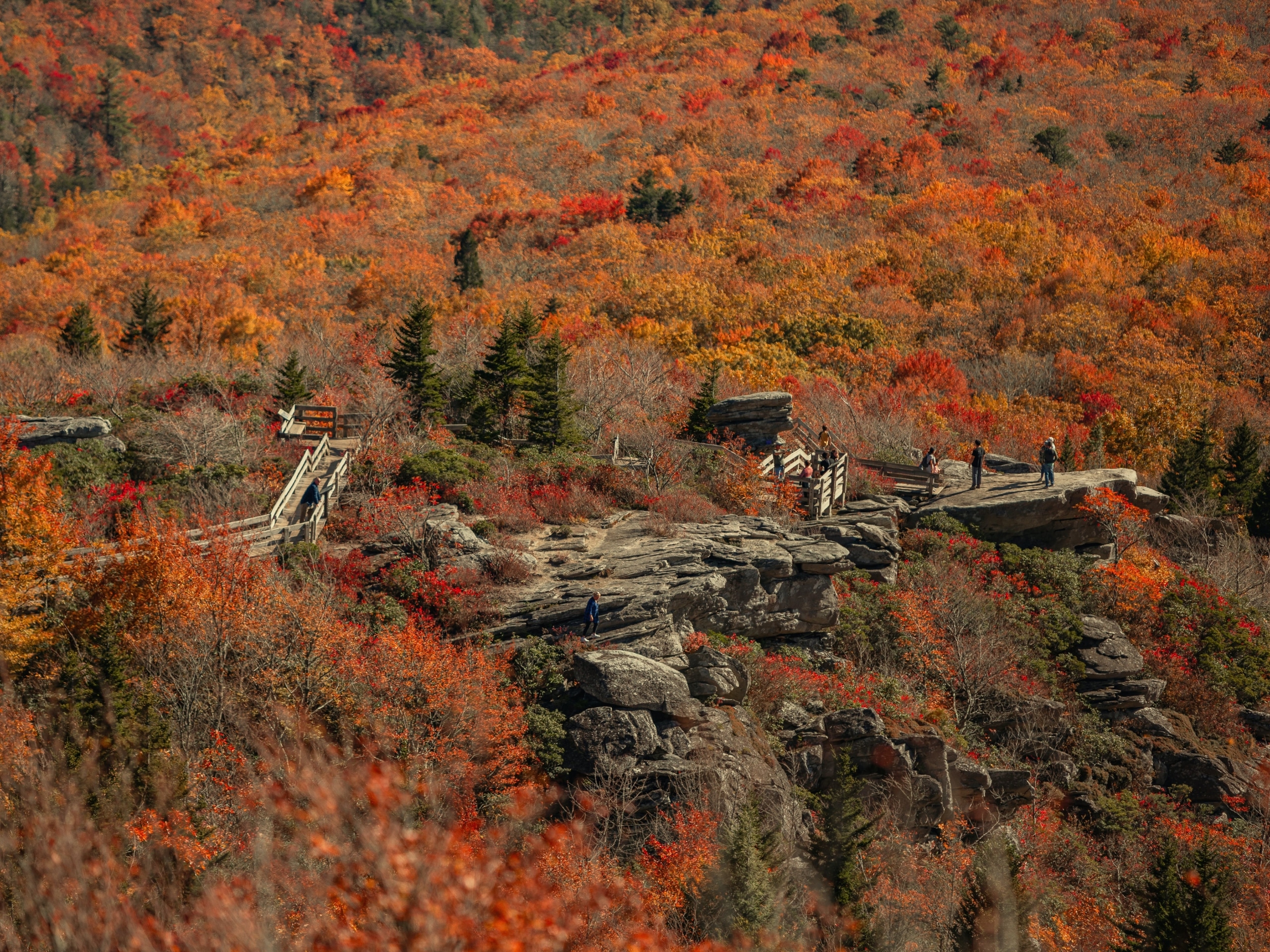 When Is It Okay to Go Back to Work After Treatment?