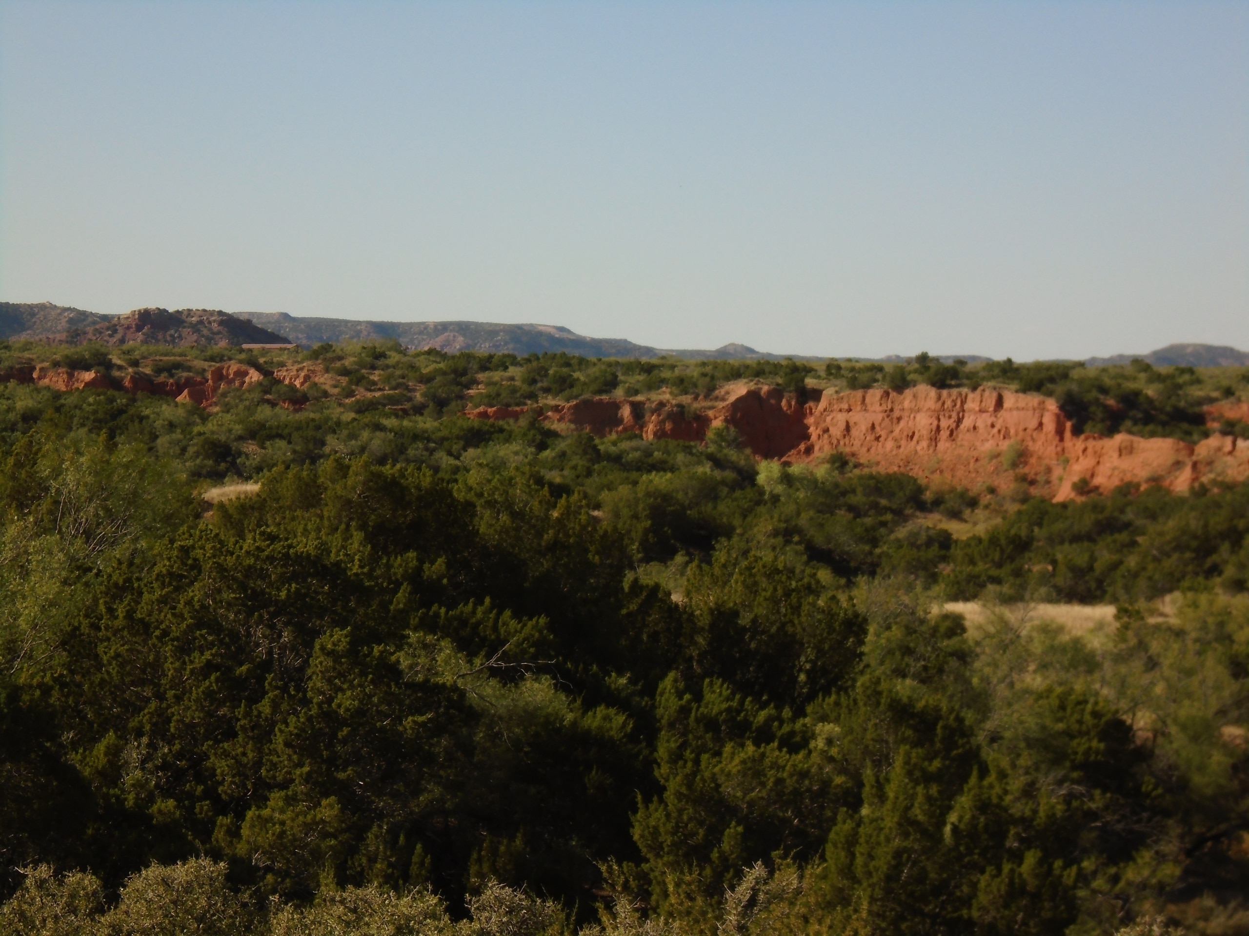 Detox Protocol for Opioids