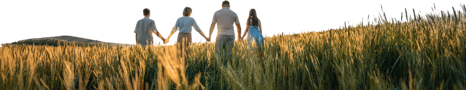 Addiction Recovery Help