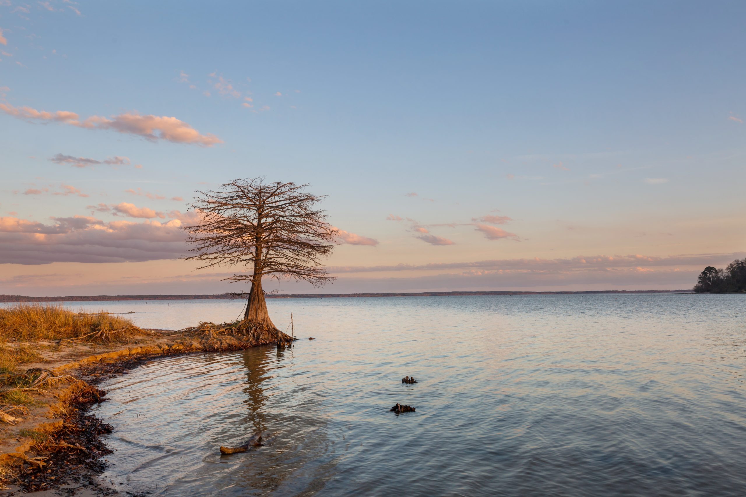 Beyond the Hype – The Reality of Psychedelics in Addiction Recovery